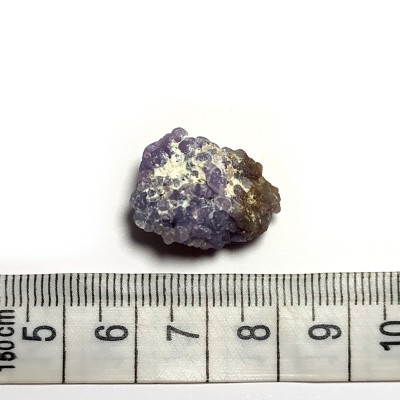 Grape Chalcedon č.1