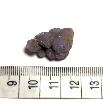 Grape Chalcedon č.3