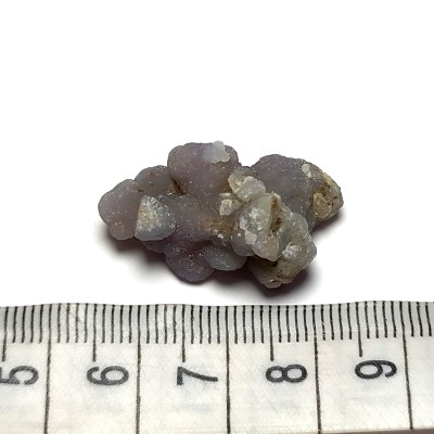 Grape Chalcedon č.9