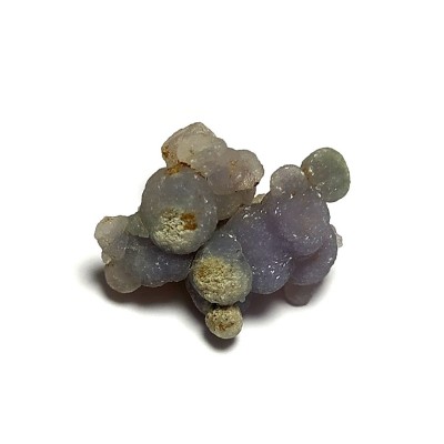 Grape Chalcedon č.15